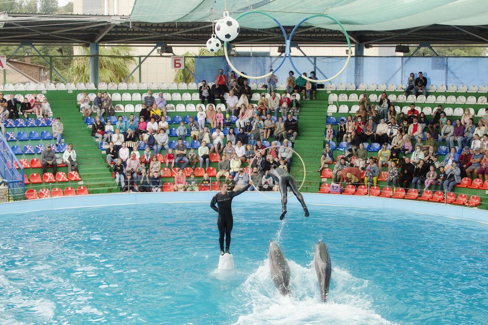 Фотография автора Людмила Куприянова