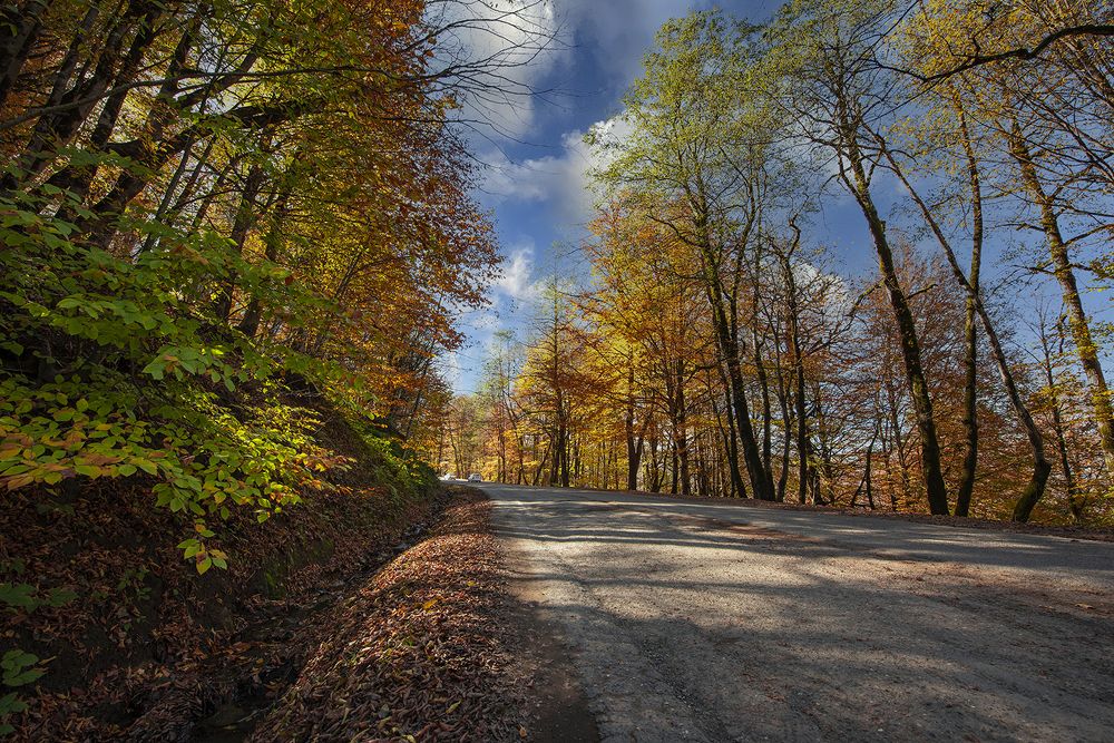 Фотография автора Farhad Alidost