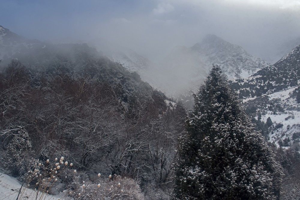 Photograph by Александр Грищенко
