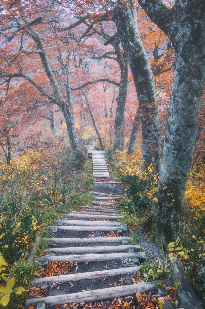 Photograph by Quan Vu