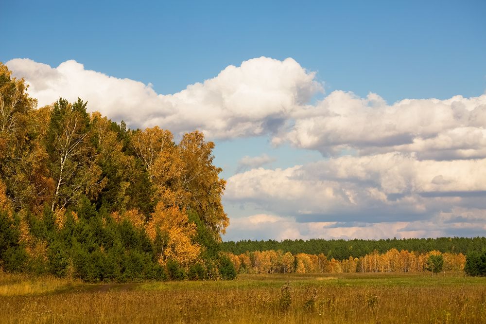 В Сибири осень-это сказка
