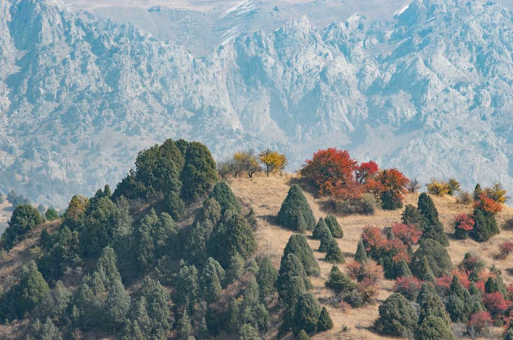 Photograph by Ruslan Ruslan