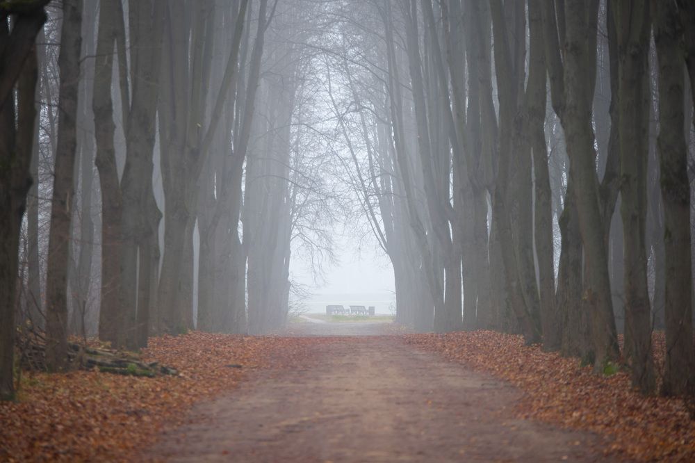 Photograph by Артём Тюменцев