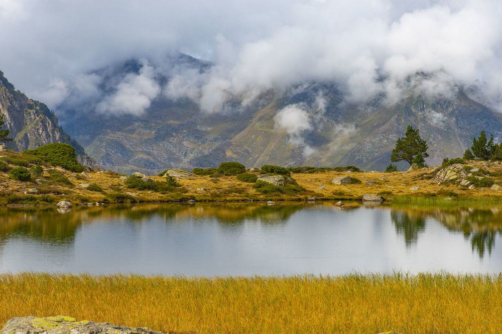 Фотография автора jean-luc