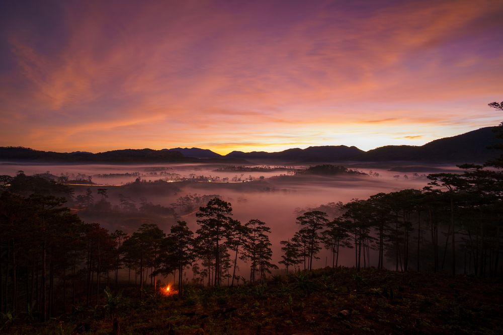 Photograph by Trung Duong