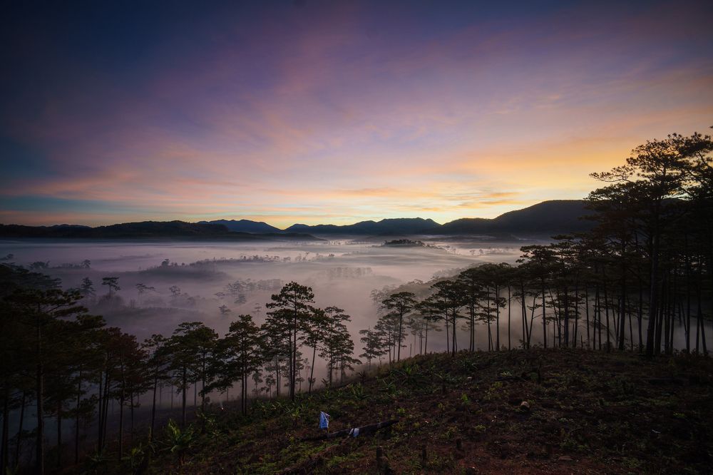 Photograph by Trung Duong