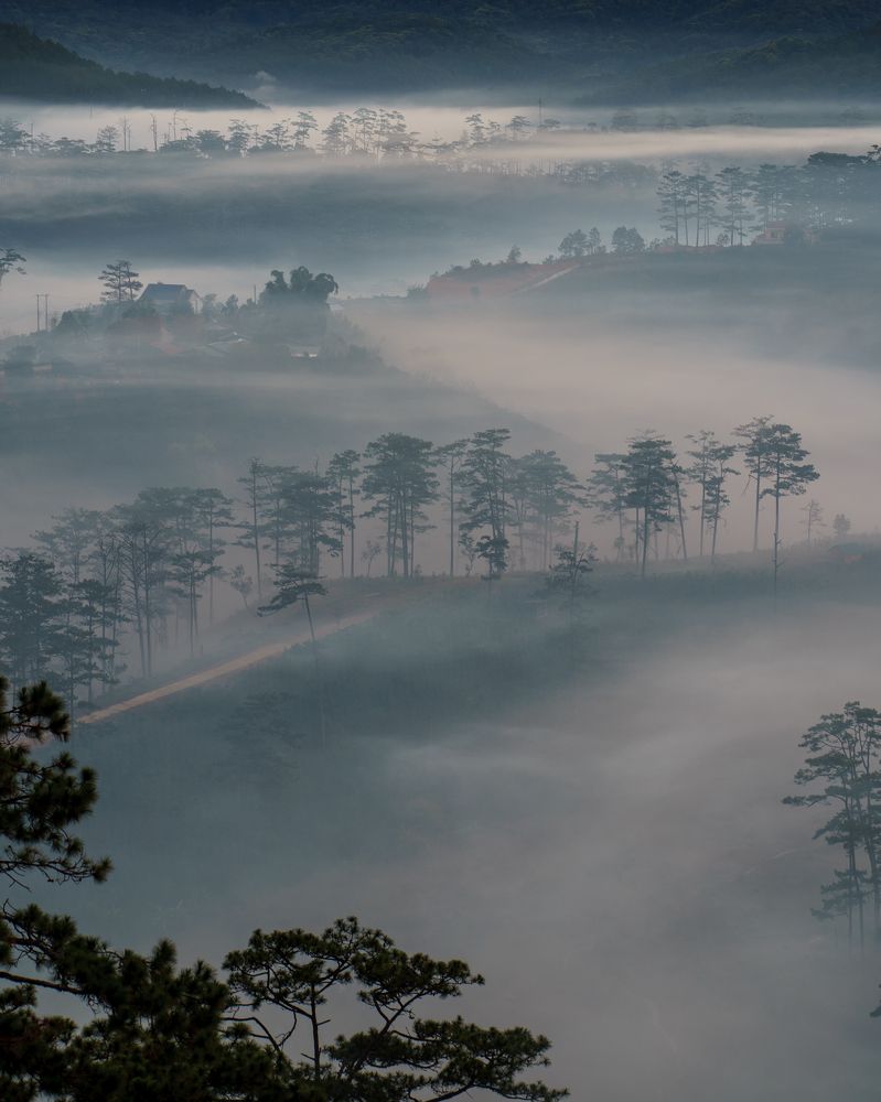 Photograph by Trung Duong