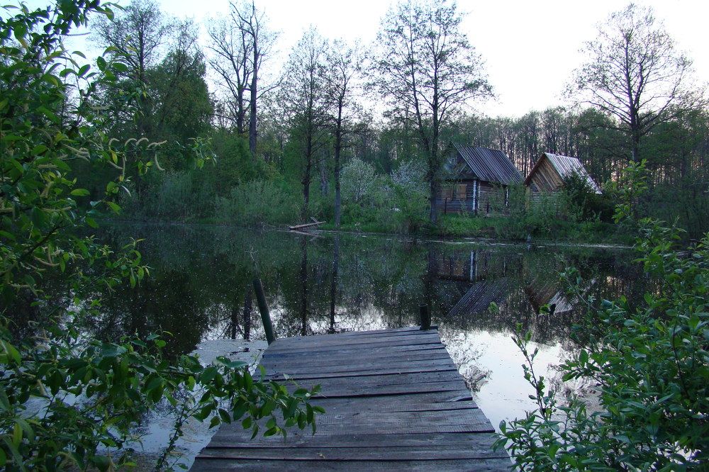 Photo #6745054