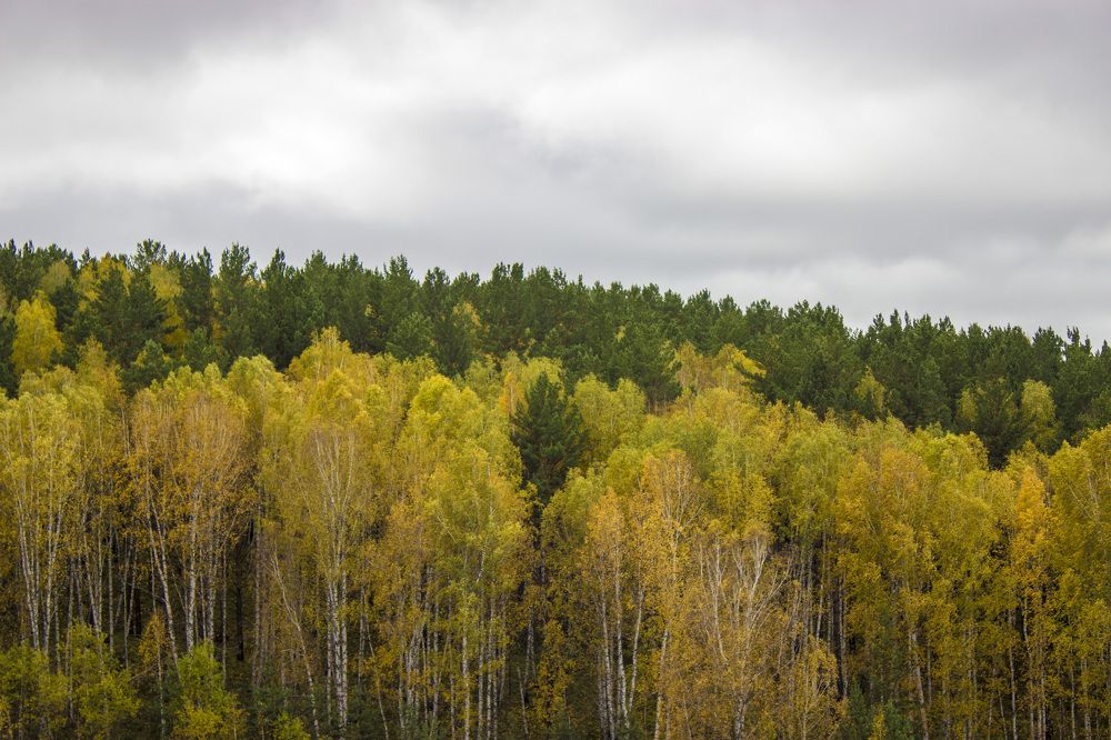 Photograph by Сергей Щербинин