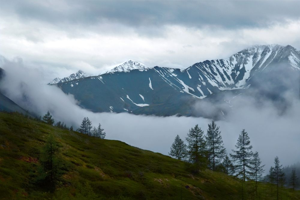 Photograph by Светлана Крат