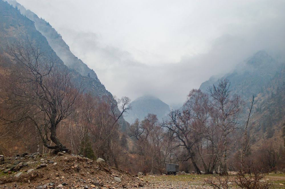 Photograph by Ruslan Ruslan