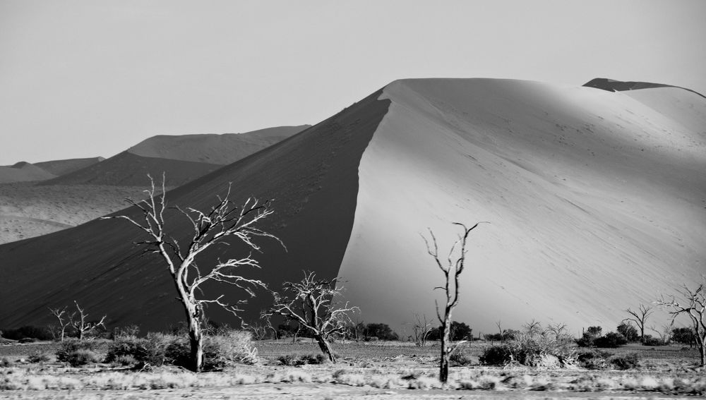 Photograph by Cloete Tanya