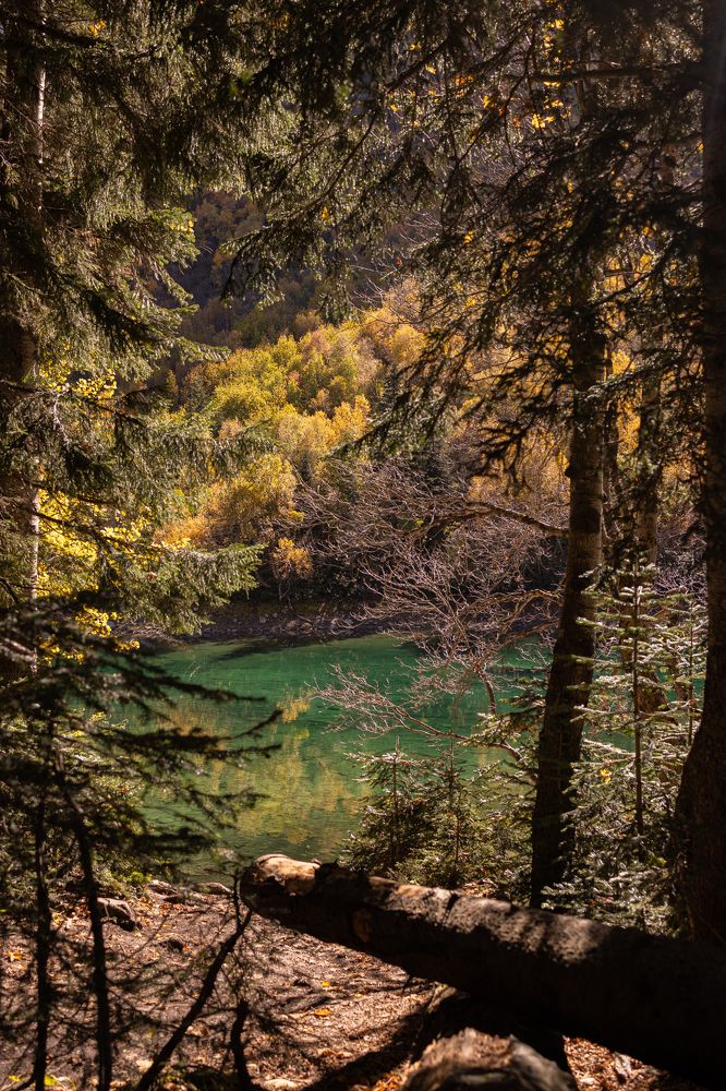 Photograph by Татьяна Бесчастнова