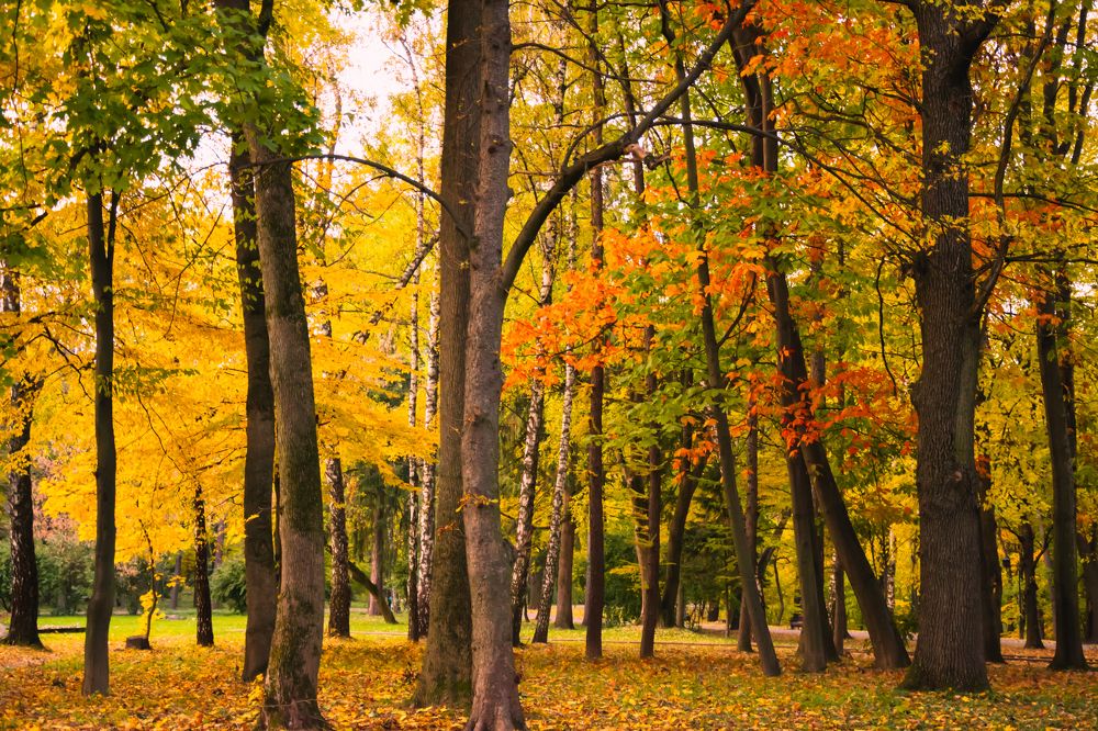 Photograph by Вікторія