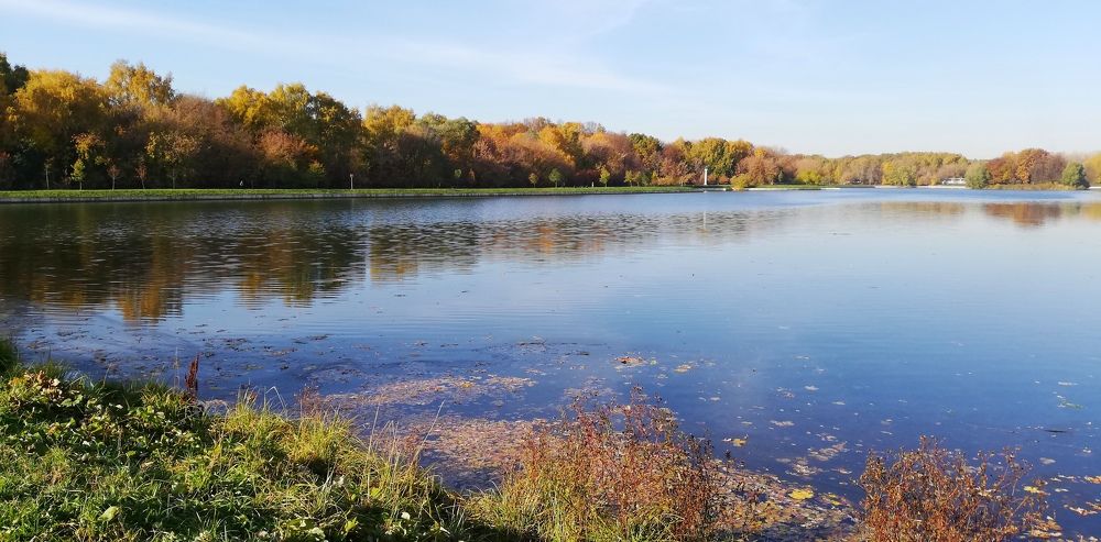 Photograph by Лариса Неудачина