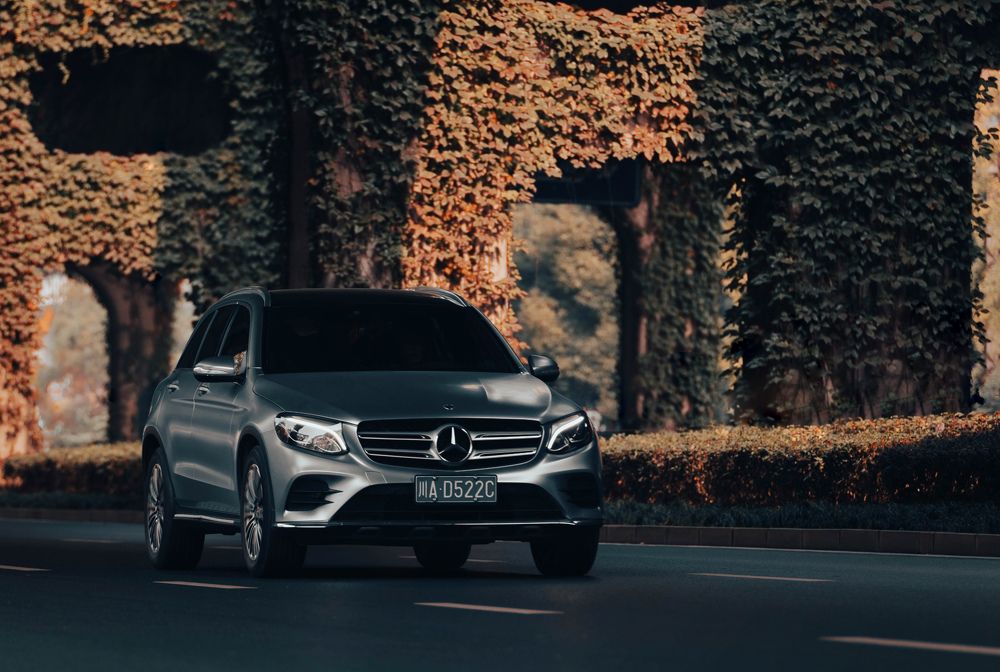 Photograph by Артем Падалко