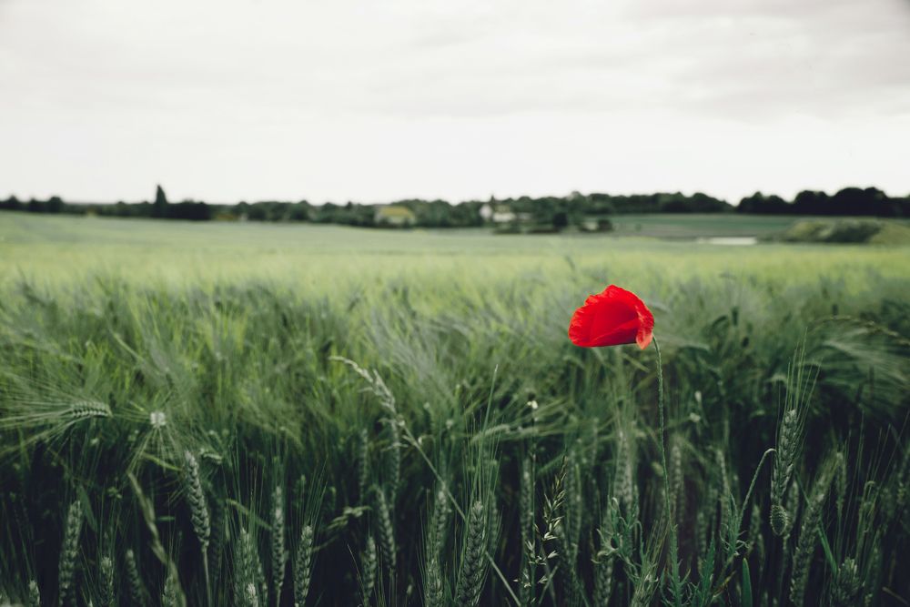 Photograph by Natalie Lamm