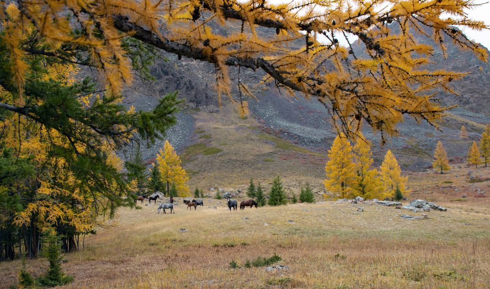 Photograph by Ольга Лукахина