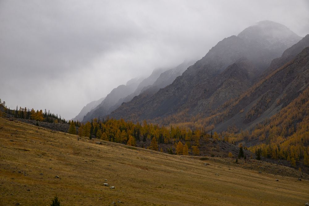 Photograph by Ольга Лукахина