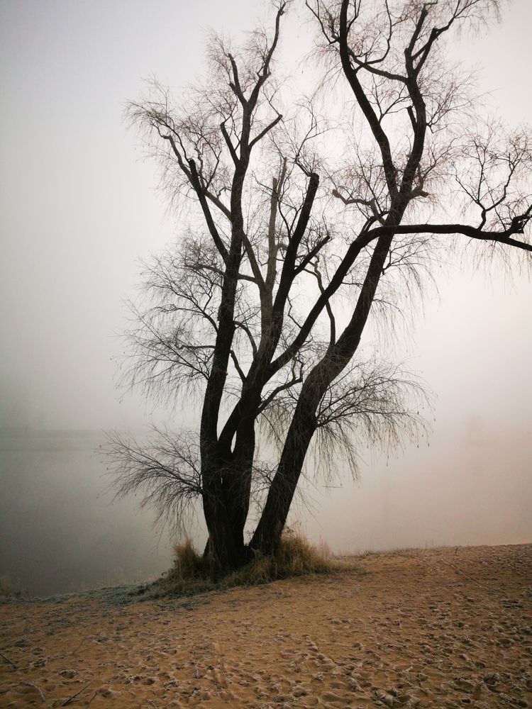 Photograph by Raitis Miksons