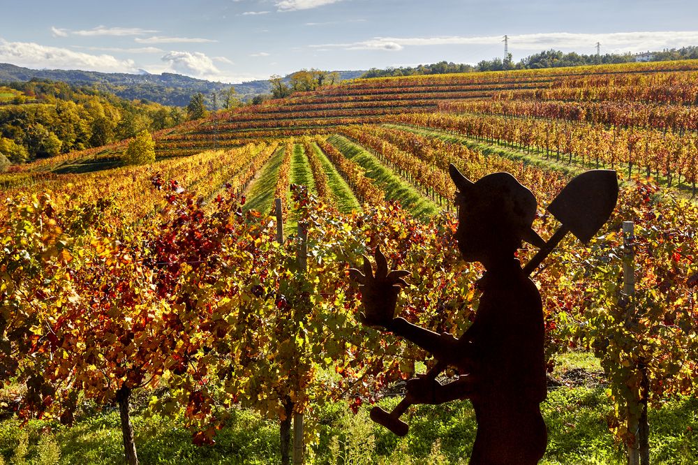 Photograph by SONIA FATTORI