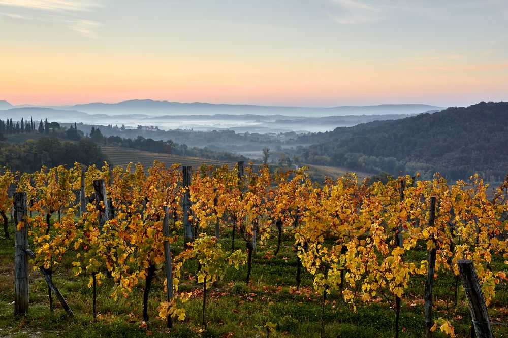 Photograph by SONIA FATTORI