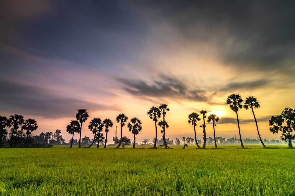 Photograph by nguyễn minh