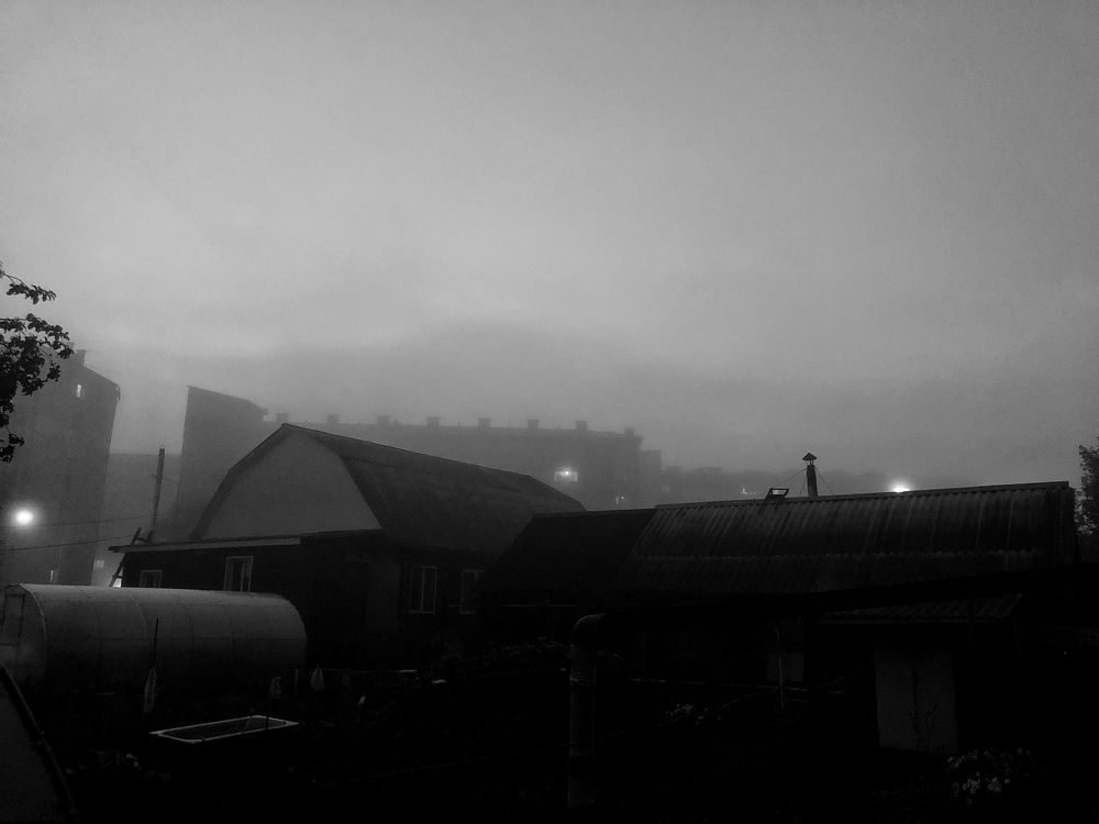 Photograph by Дарья Кудланова