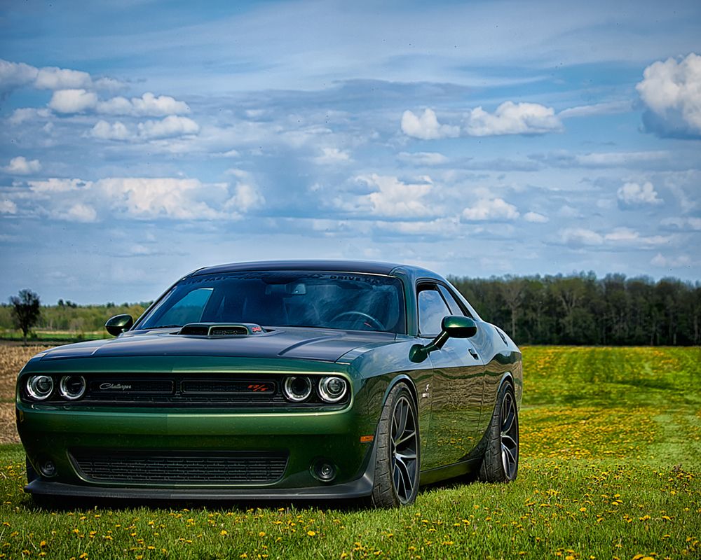 Photograph by Natalia Ghimp