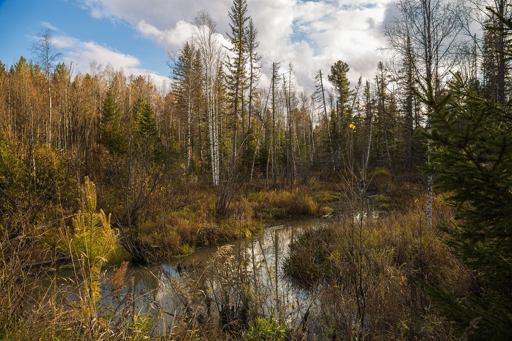 Photograph by Татьяна Афанасьева