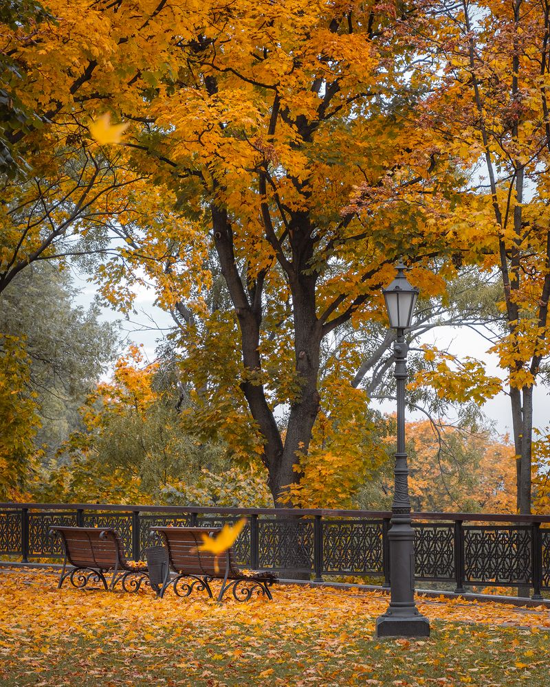 Photograph by Vladyslav Lypovyi