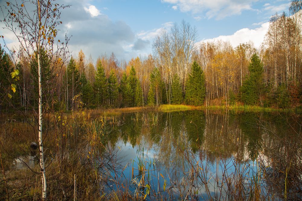 Photograph by Татьяна Афанасьева