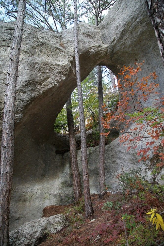 Photograph by Юрий