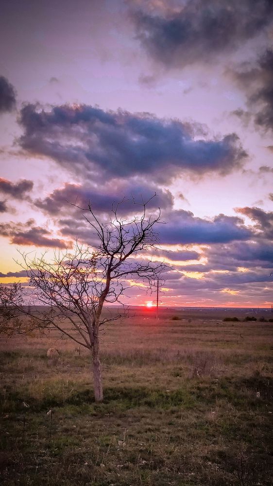 Photograph by Антон Пирожок