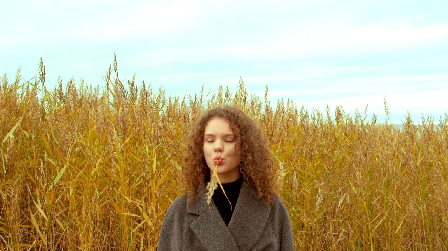 Photo #6745494