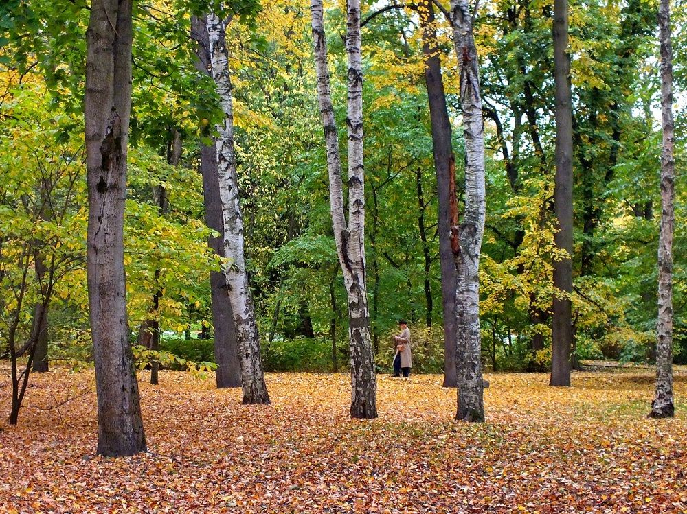 Photograph by Виолетта Максименко