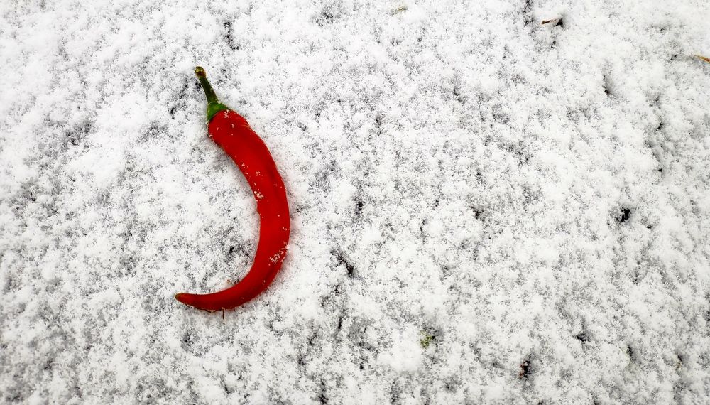 Красное&Белое