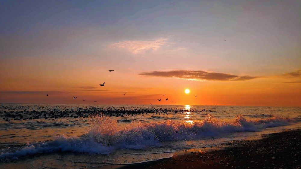 Камчатка. Охотское море.