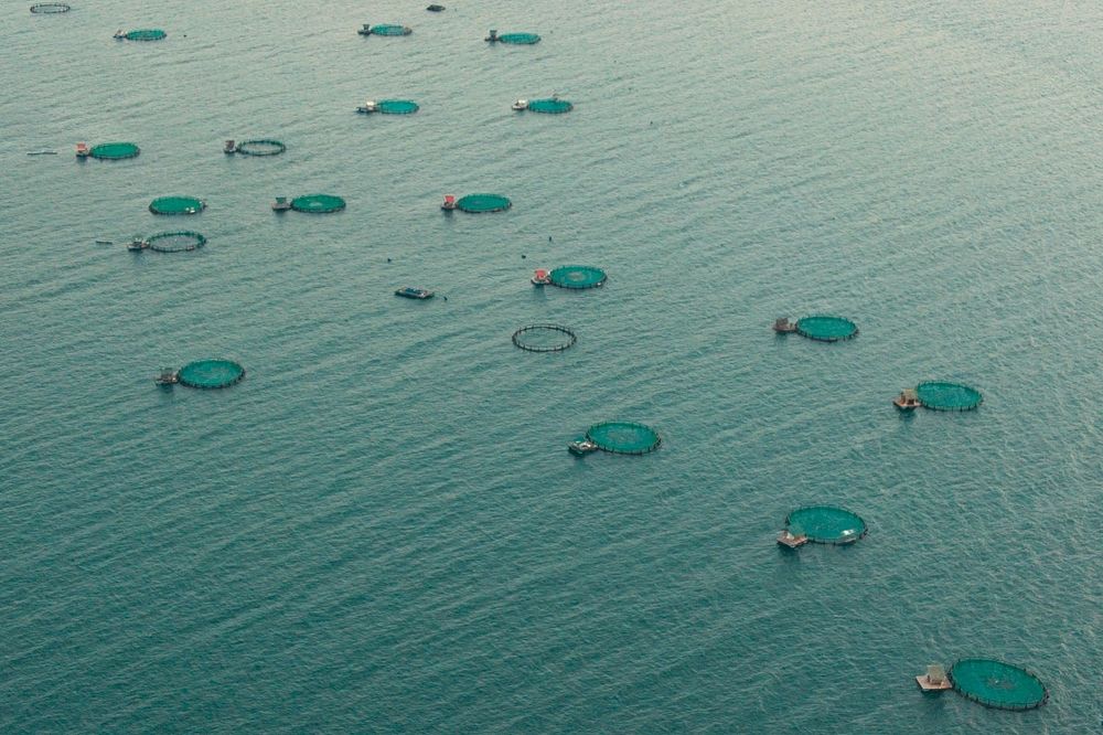 Photograph by Liemuel E. Pantuhan