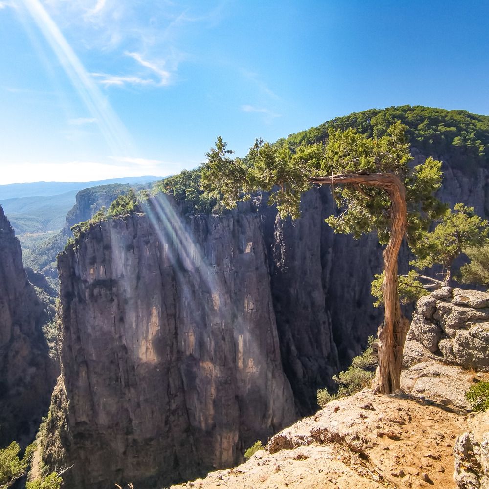 Photograph by Татьяна Даниленкова