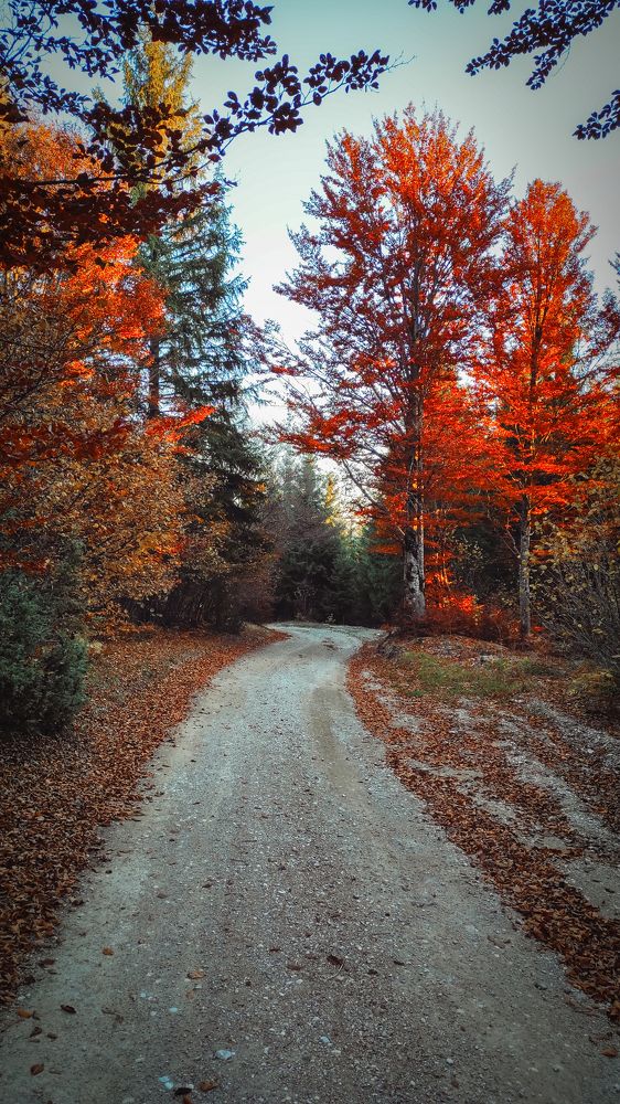 Photograph by Fatmir Bajrovic