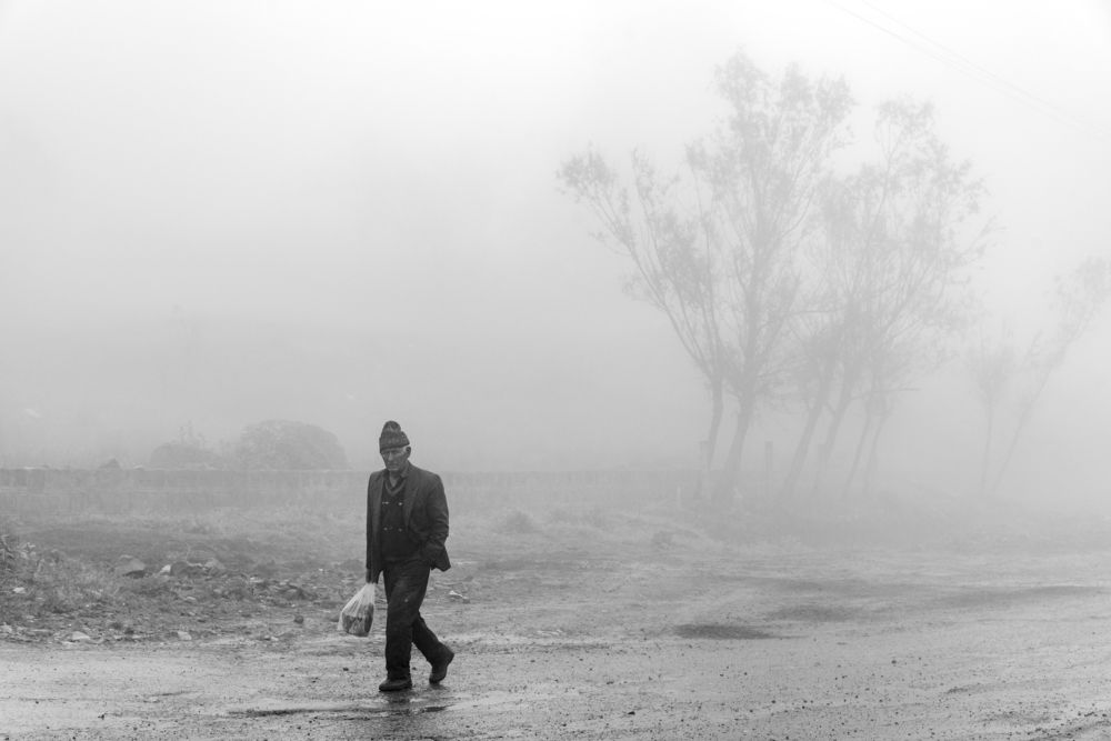 Photograph by Simin Mohit