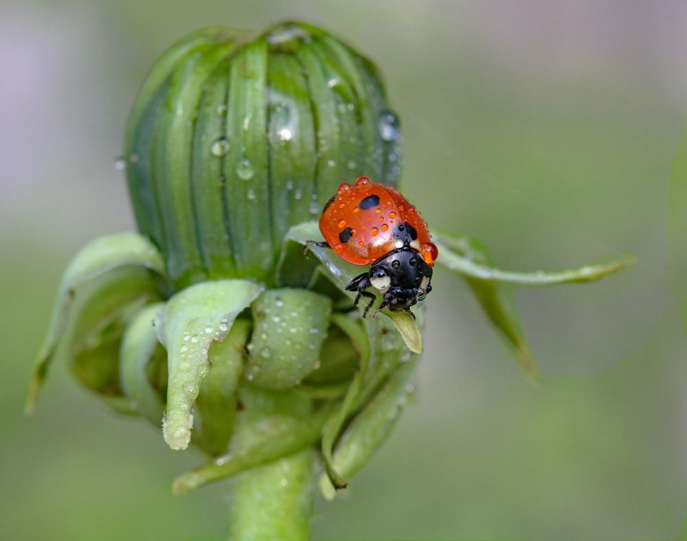 Photograph by Игорь Осипов