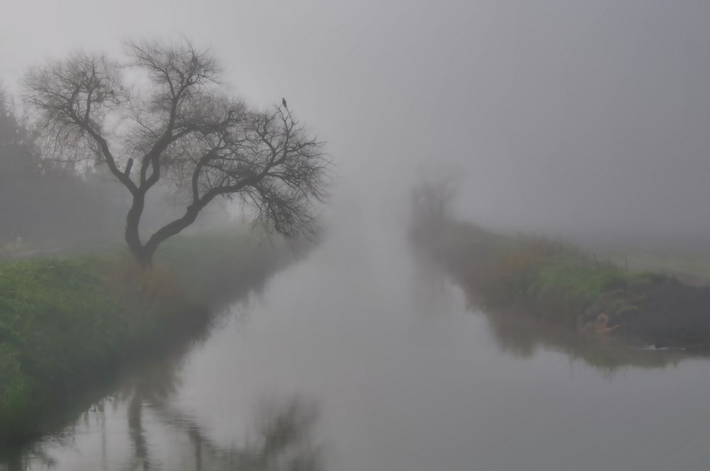 Photograph by Михаил Домешек