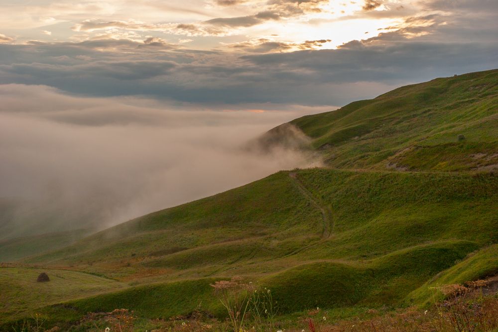 Photograph by Александра Ларинцева