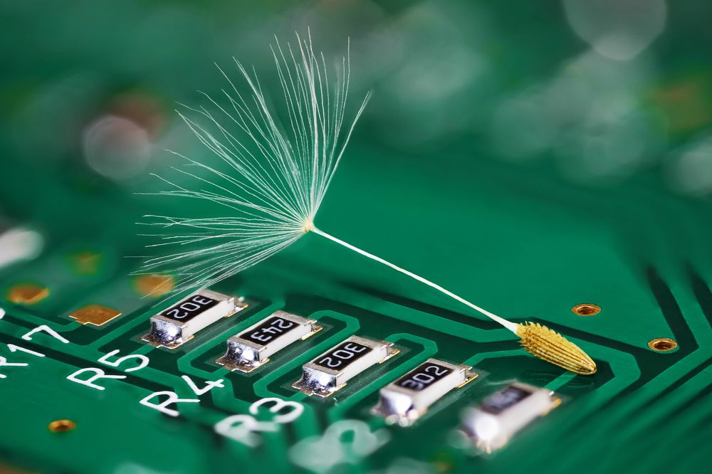 Photograph by Сергей Романченко