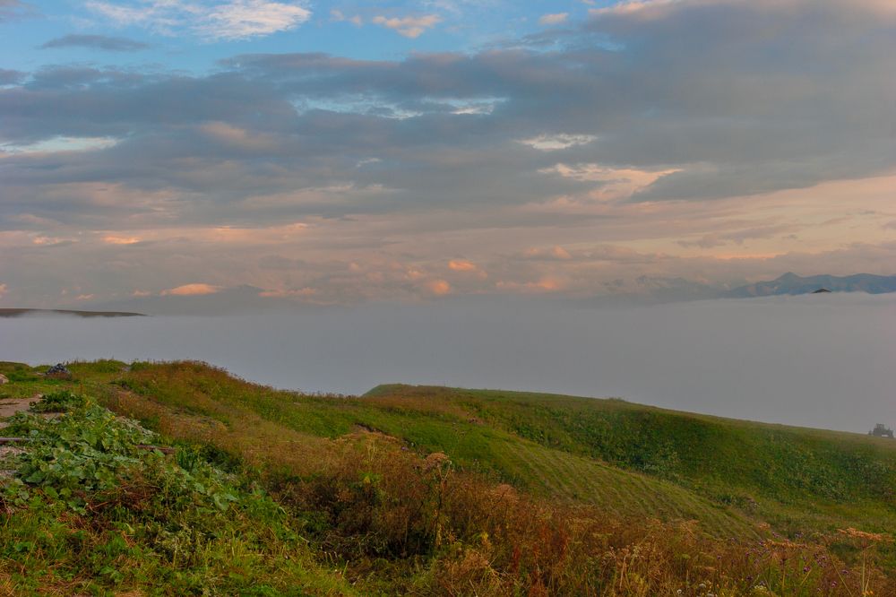 Photograph by Александра Ларинцева