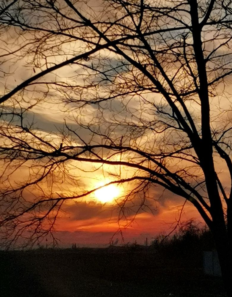 Закат, Ноябрь