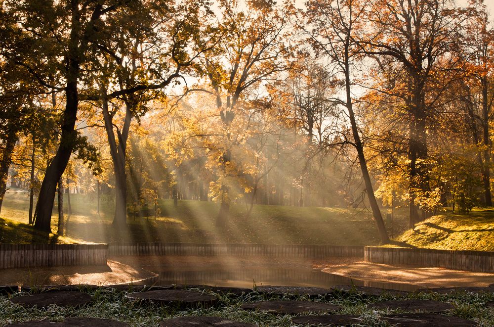 Photograph by Ольга Кузьмина