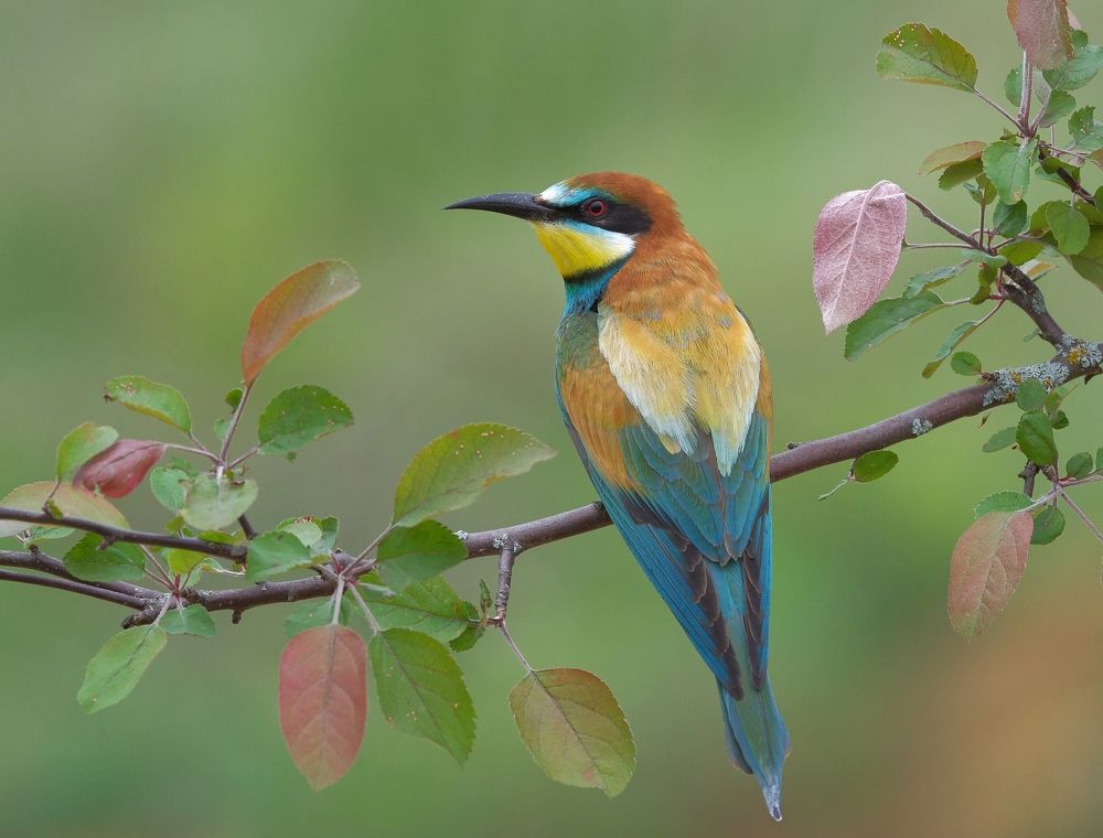 Photograph by Олег Есиков